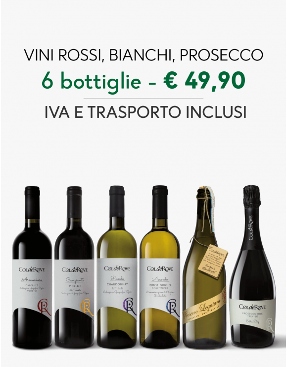 Degustazione Vini Rossi Bianchi e Prosecco