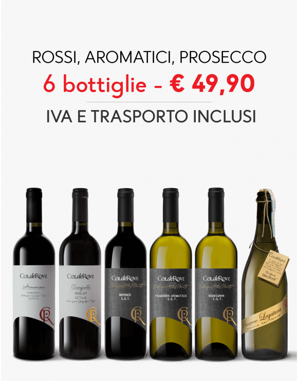 Degustazione Vini Rossi Bianchi Aromatico e Prosecco