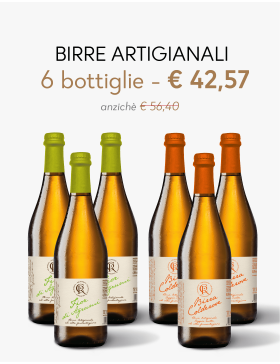 Assaggio Birra Artigianale