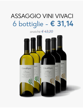 Assaggio Vini Vivaci